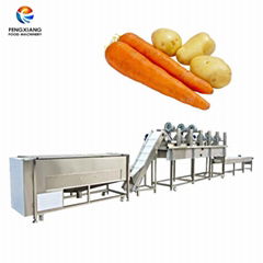 Potato Washing Cleaning Line