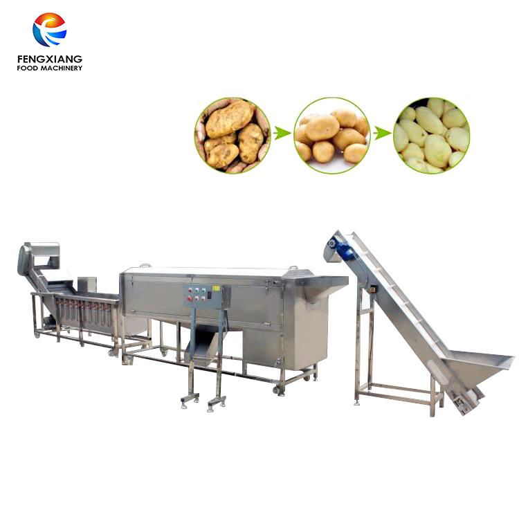 Rhizome cleaning and desquamate production line