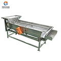  QG-202 Vibration Sorting Machine Garlic Grading Processing Equipment 1