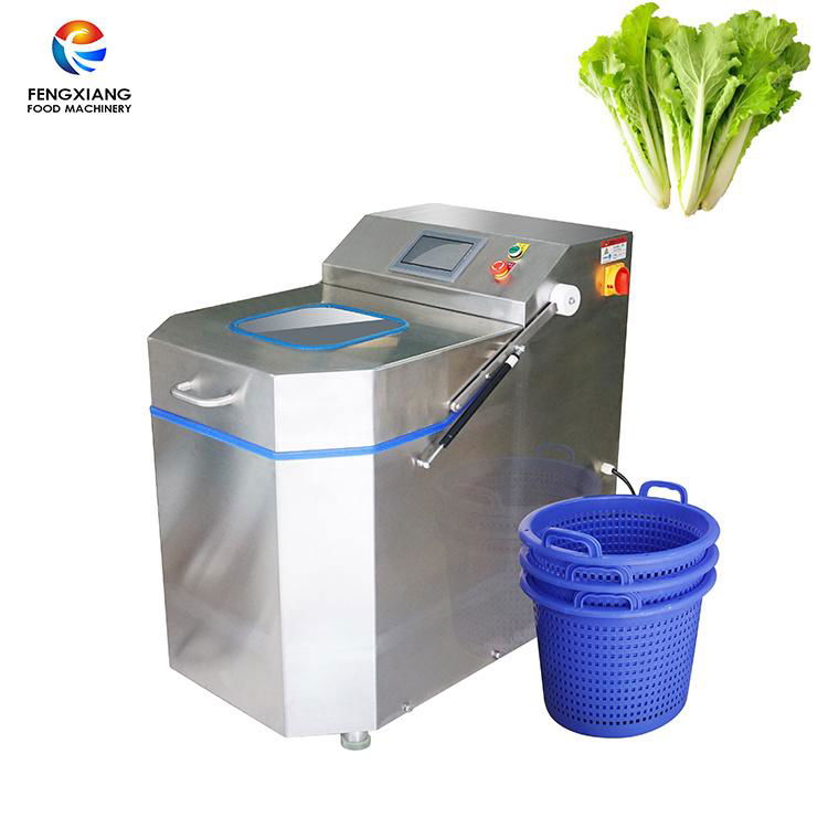 FZHS-15 Vegetable spin drier
