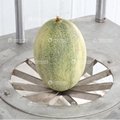  Melon Coring And Separating Cutting Machine For Pineapple Jackfruit