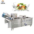 WA-1000 Vegetable Washing Machine Fruit Apple Orange Washer 