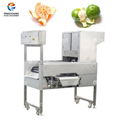 Electric Orange Peeling Machine Citrus