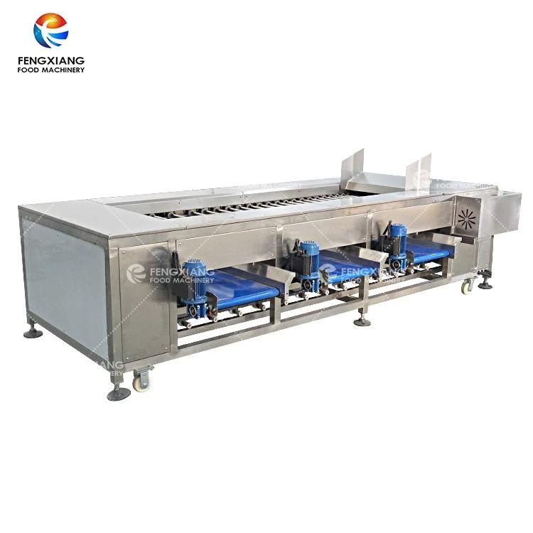 Potato grader bulbous fruit and vegetable sorting machine 3