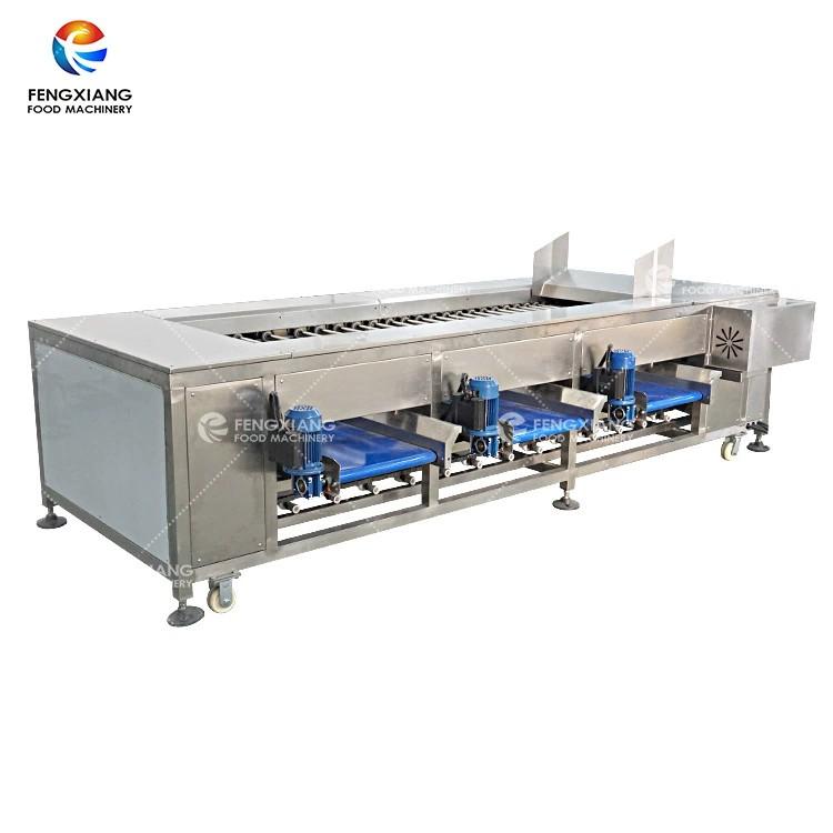 Potato grader bulbous fruit and vegetable sorting machine 2