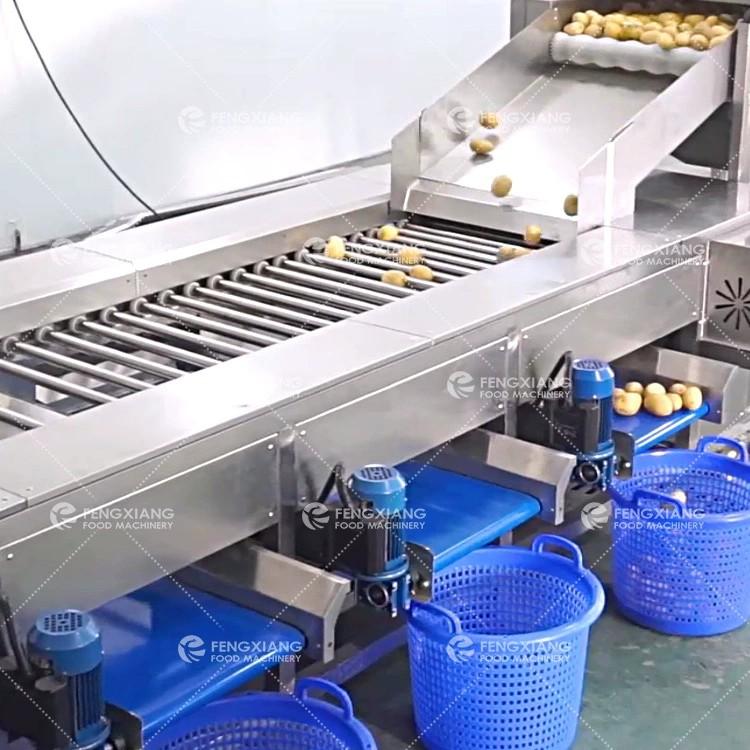 Potato grader bulbous fruit and vegetable sorting machine 3