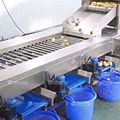 Potato grader bulbous fruit and vegetable sorting machine