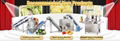 Automatic cleaning-cutting-dehydration fruit and vegetable processing production