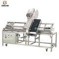 DY-I Automatic Tray Band Saw Machine Bean Sprout Heading Cutting Machine 2