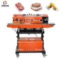 Small multi-function continuous vacuum/gas packing machine