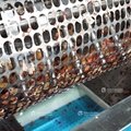 Industrial Pomegranate Skin Peeling Machine Seeds Washing Dewatering Production  5