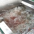 Industrial Pomegranate Skin Peeling Machine Seeds Washing Dewatering Production  6