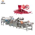 Industrial Pomegranate Skin Peeling Machine Seeds Washing Dewatering Production  1