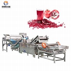 Industrial Pomegranate Skin Peeling Machine Seeds Washing Dewatering Production 