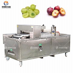 Automatic orange pitting machine Fruit pitting machine