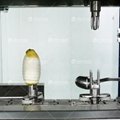 凤翔柠檬削皮机 大型电动产量高柠檬去皮机 3