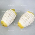 Automatic Lemon peeler Fruit Peeling Machine