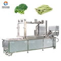 PT-2000 Vegetable Potato Chips Blanching Machine 2