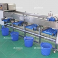 Potato grader bulbous fruit and vegetable sorting machine 4