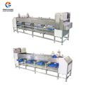 Potato grader bulbous fruit and vegetable sorting machine