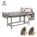 Fish Head Cutting Machine 1