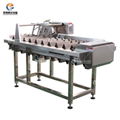 Fish Head Cutting Machine 2