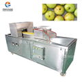 CL-S Plum Stone Remove Machine