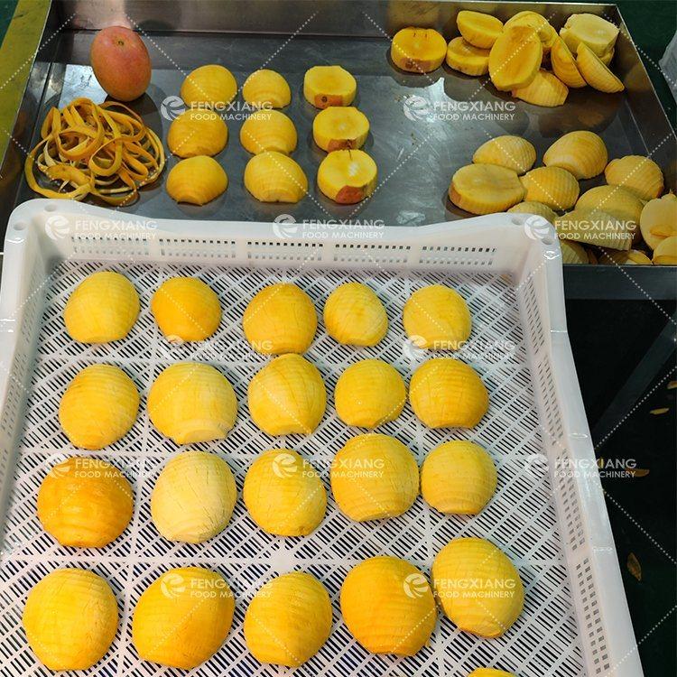 Mango Peeling and coring Machine 4