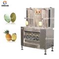 FXP-99 Fruit  Pineapple Peeler Double Head Pumpkin Peeling Machine