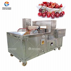 Commercial Automatic Cherry Pitting Machine Fruit Destoning Machine