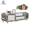 Automatic Apricot Seed Pitting Machine