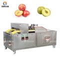 Fully automatic double channel plums corer