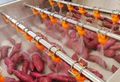 Sweet Potato Washing Cleaning Production Line