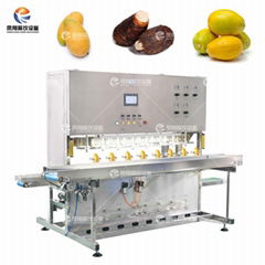 8-Head Mango Peeling Machine