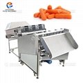 Fengxiang baby carrot cut production line 2