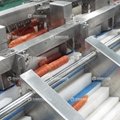 Fengxiang baby carrot cut production line 3