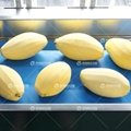 16 station mango peeler