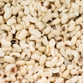 FZD-300  Straight knife peanut cashew shredder 4