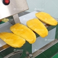 FC-306L Large Capacity Multifunction Vegetable Cutting Slicing Machine 2