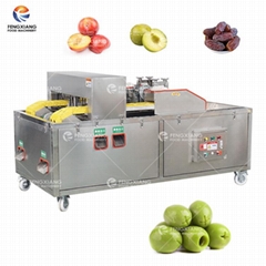 Fully automatic double channel plums corer