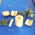 Manual pineapple head and tail cutting + pneumatic pineapple peeling and core po