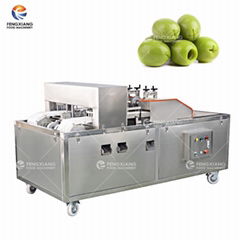 Olive Denucleation Machine