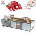 Lychee pitting machine, only pitting but not juice!