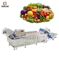 WA-2000 Vegetables Washing Machine