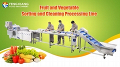 Vegetable Processing Solution Salad Washing Line