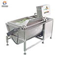 FXC-70 Tilting Vegetable Washing Machine