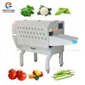 Vegetable & Fruit Cutting Machine Serise