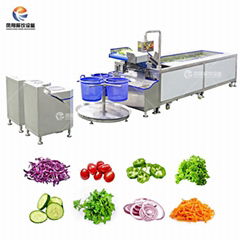 Salad vegetable washing and dehydration production line