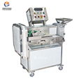 Multifunctional Vegetable Cutting Machine 2