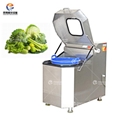 FZHS-15 Vegetable spin drier